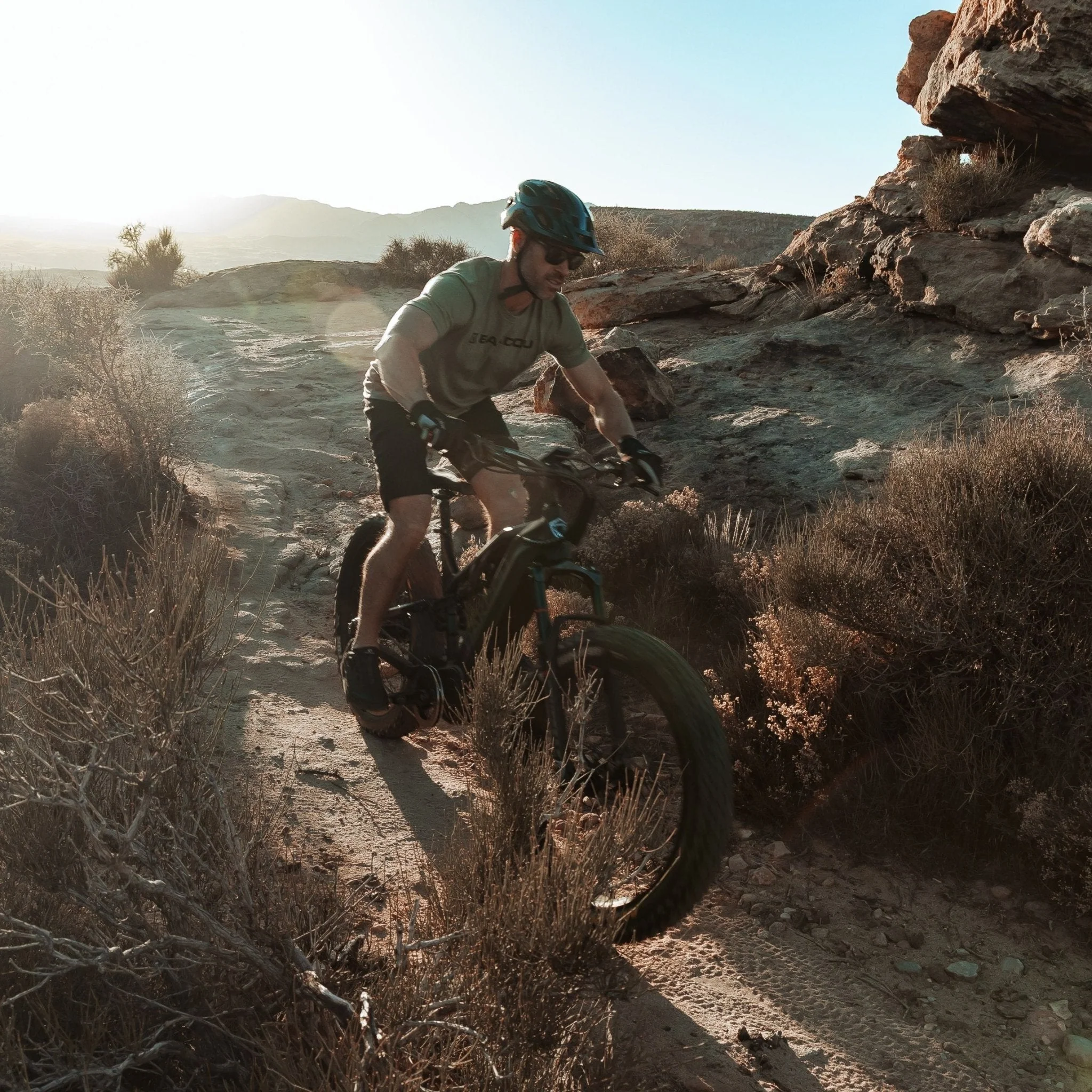 Scout - Image 4