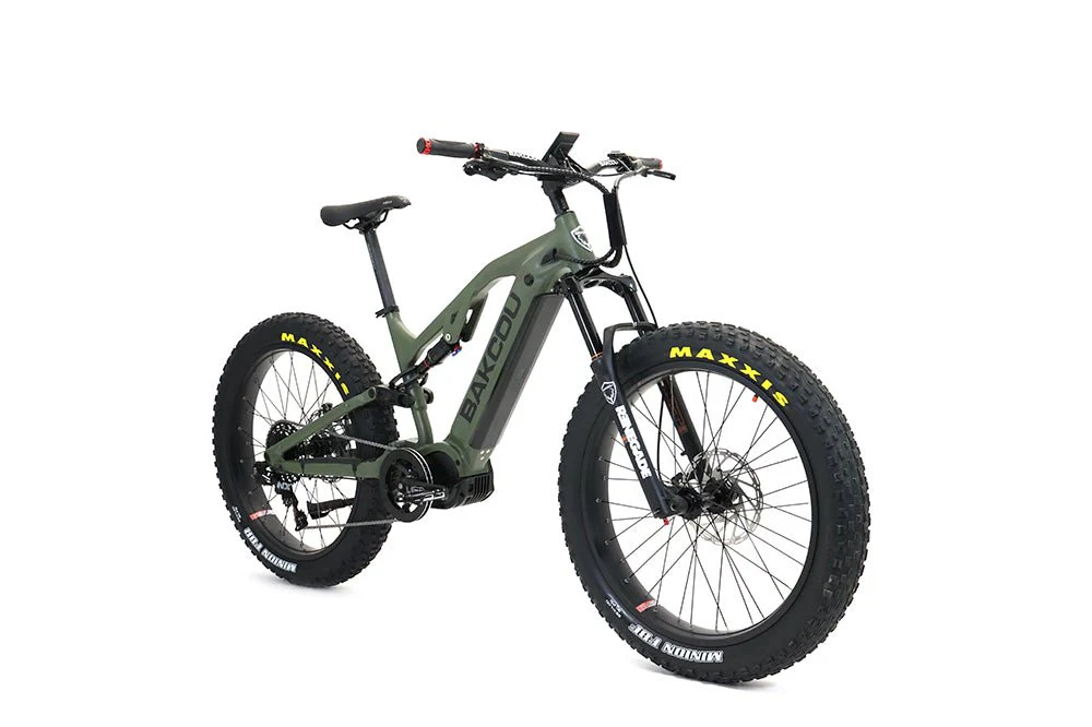 Scout - Image 5