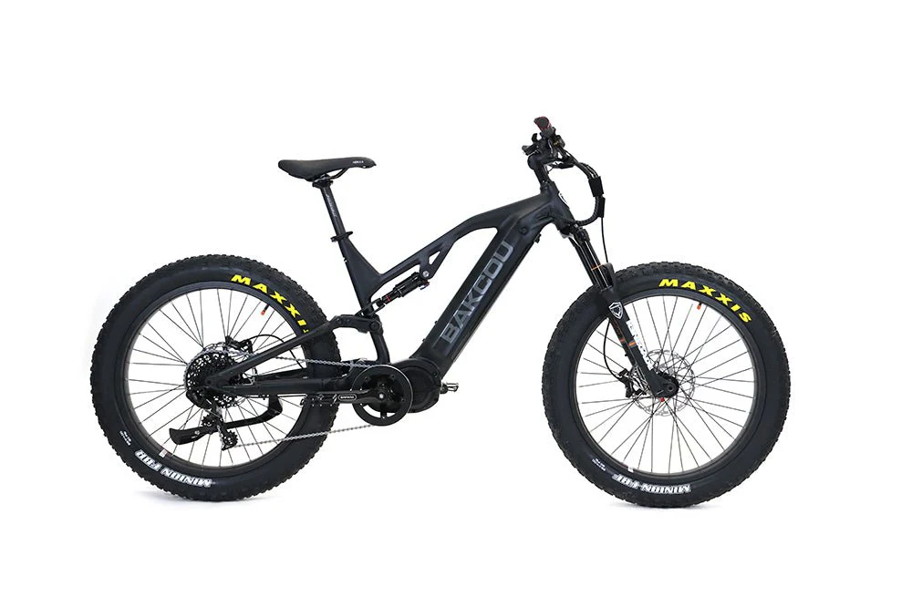 Scout - Image 9