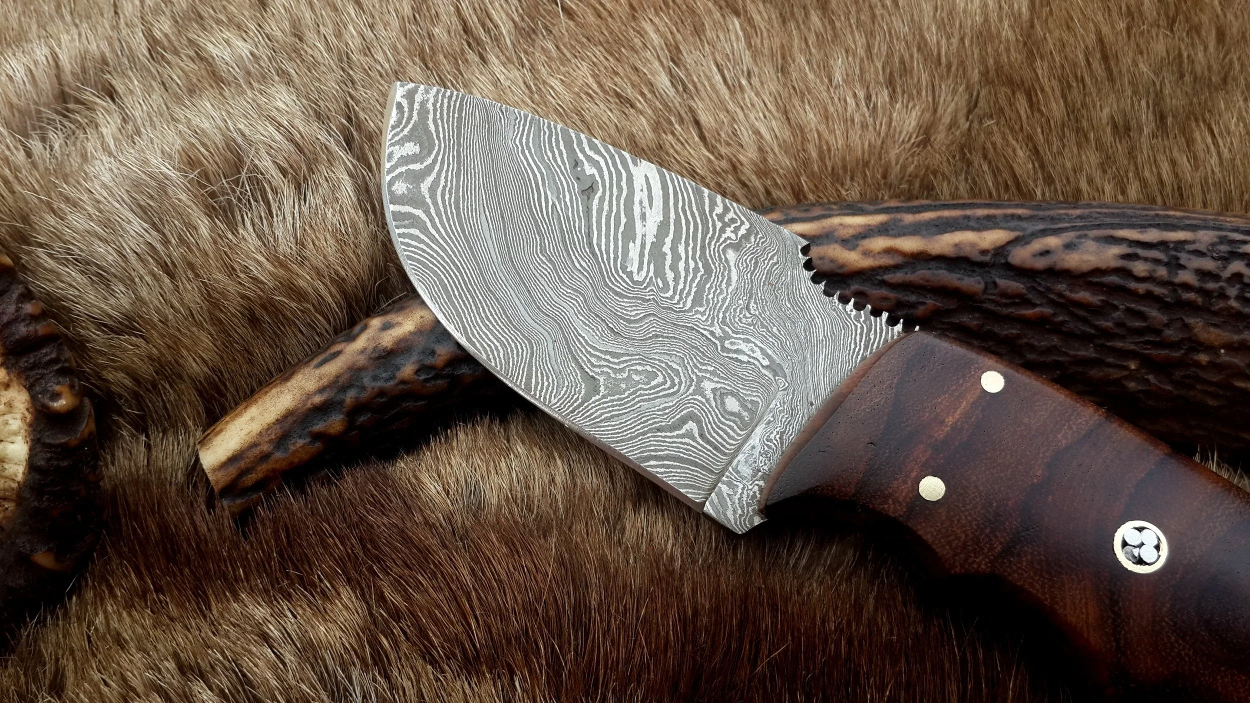 Skinning Blade Custom Handmade Full Tang Damascus Steel with Rosewood Handle, 7.5-inch - The Rosewood Edge - Image 2