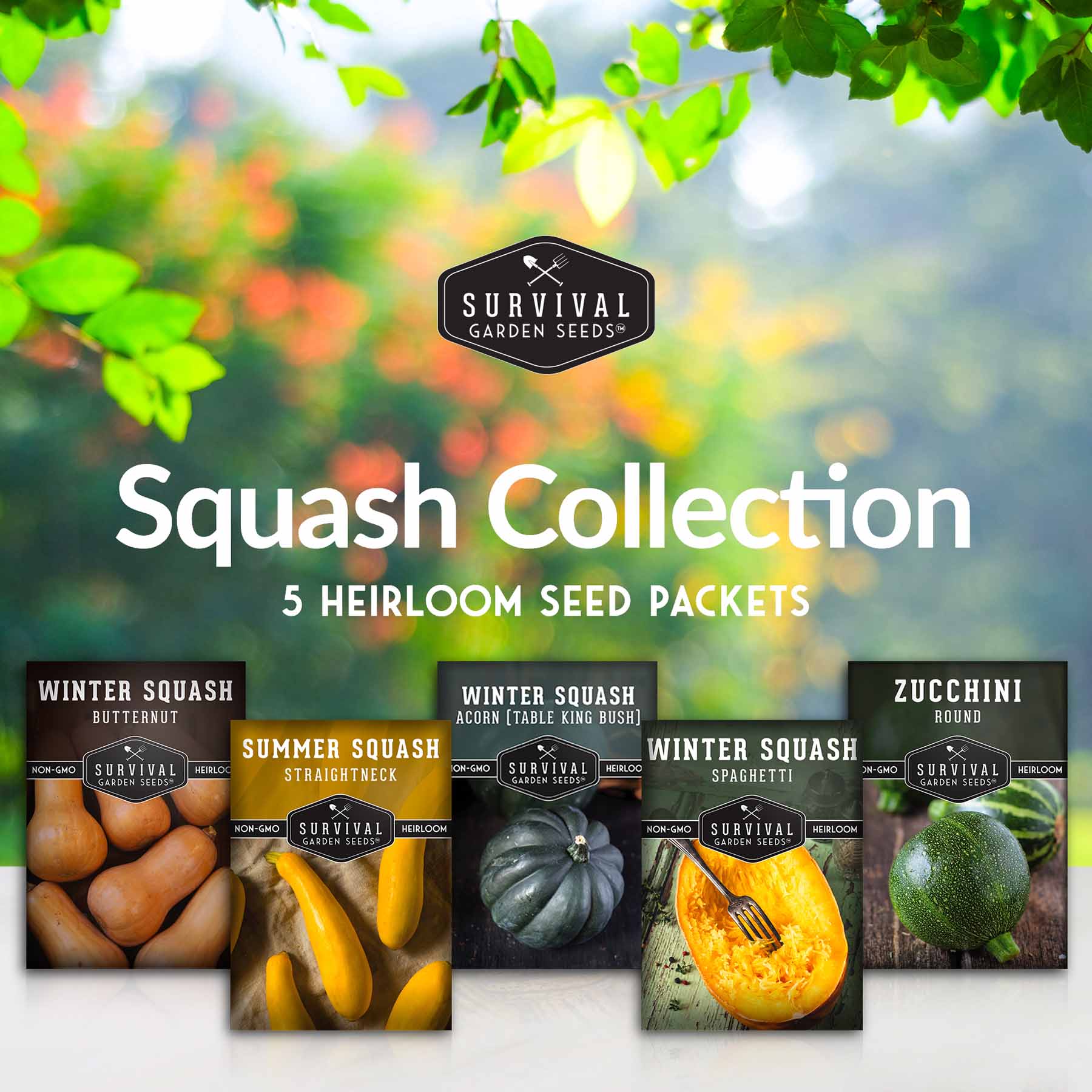 Squash Seed Collection – Zucchini, Yellow Summer, Butternut, Spaghetti & Acorn Varieties for Productive Summer and Winter Harvests - Image 2