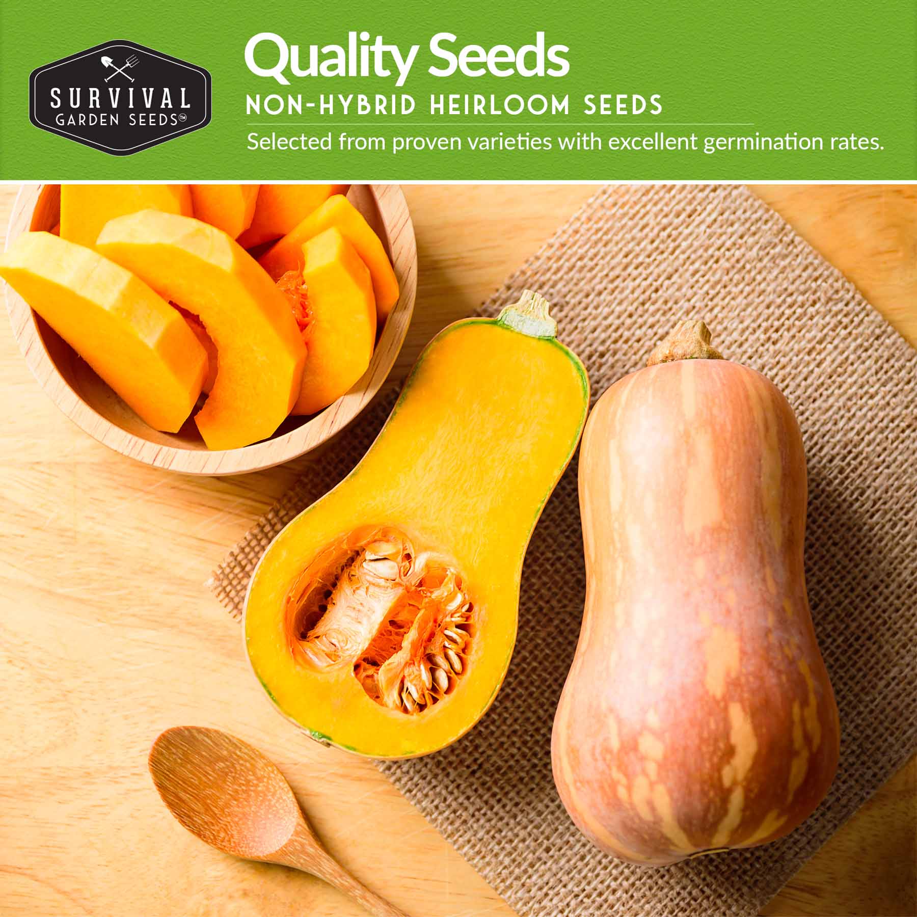 Squash Seed Collection – Zucchini, Yellow Summer, Butternut, Spaghetti & Acorn Varieties for Productive Summer and Winter Harvests - Image 3