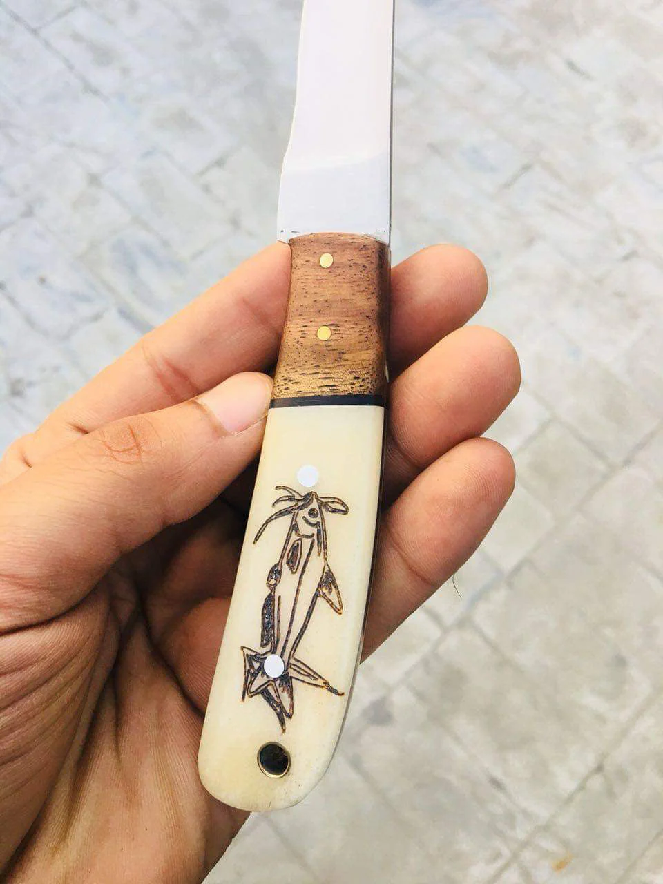 Stainless Steel Handmade Fillet-Boning Knife with Rose Wood and Engraved Bone Handle - Image 2