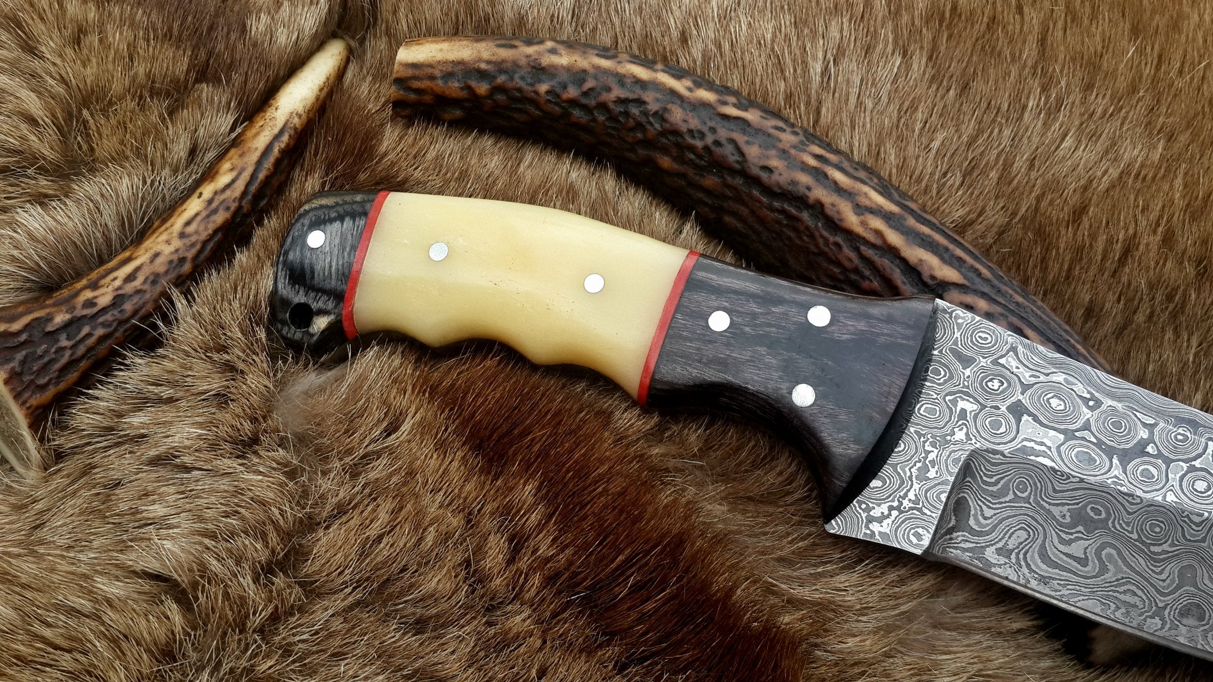 The Master Hunter: Custom Handmade Damascus Steel Fixed-Blade Hunting Knife | Camel Bone & Exotic Wood | 10 Inches | KBS Knives - Image 3
