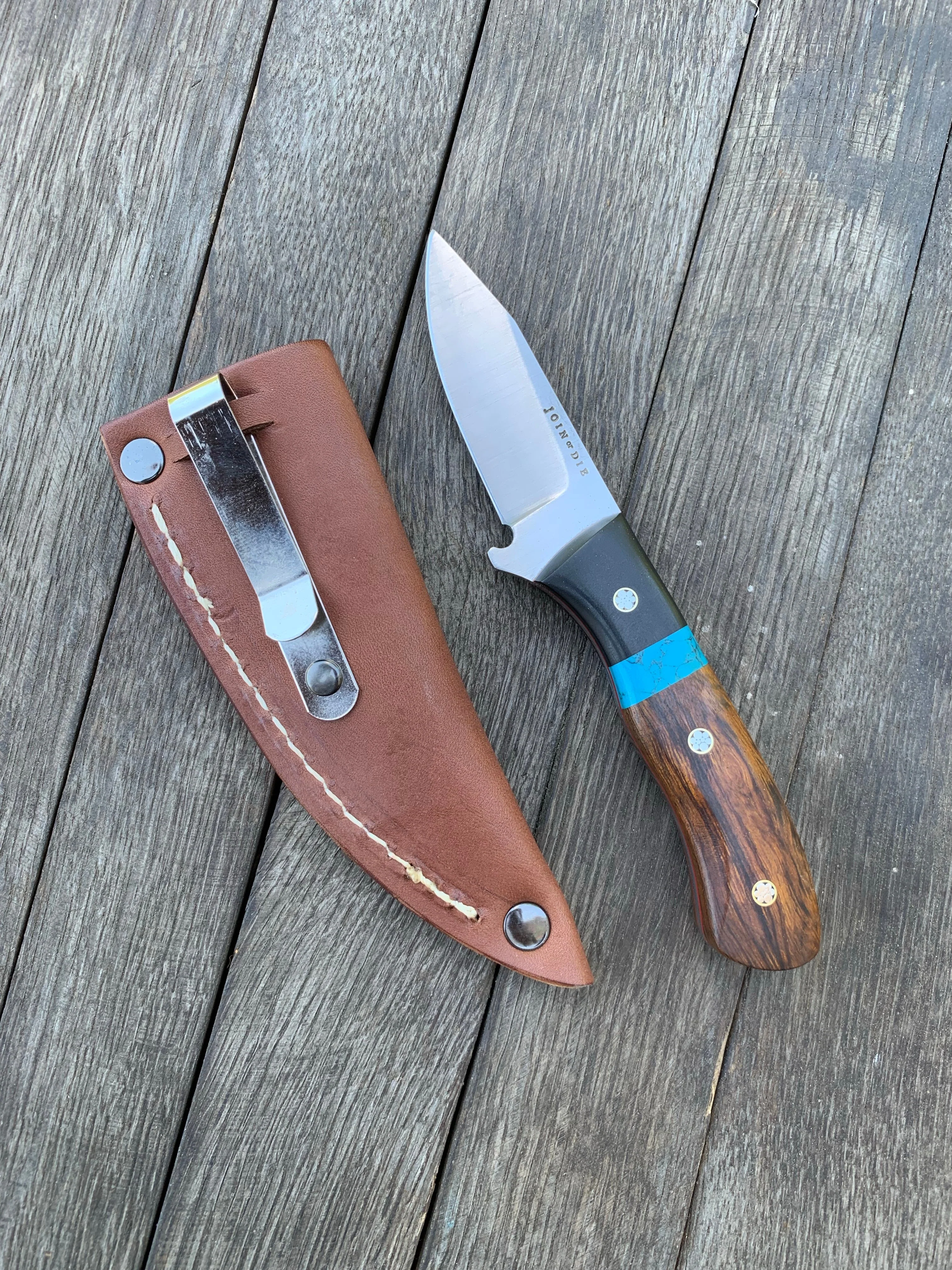 Turquoise Fieldmate - Image 2