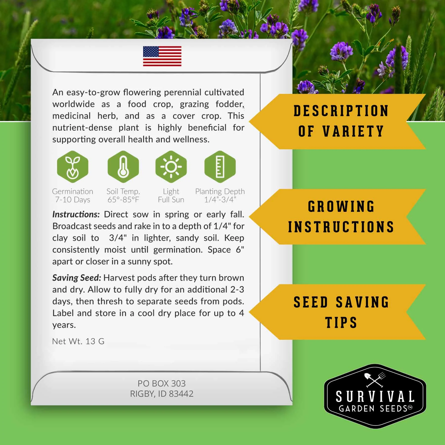 Medicinal Herb Garden - 36 Heirloom Seed Varieties for a Wellness Garden - Image 4