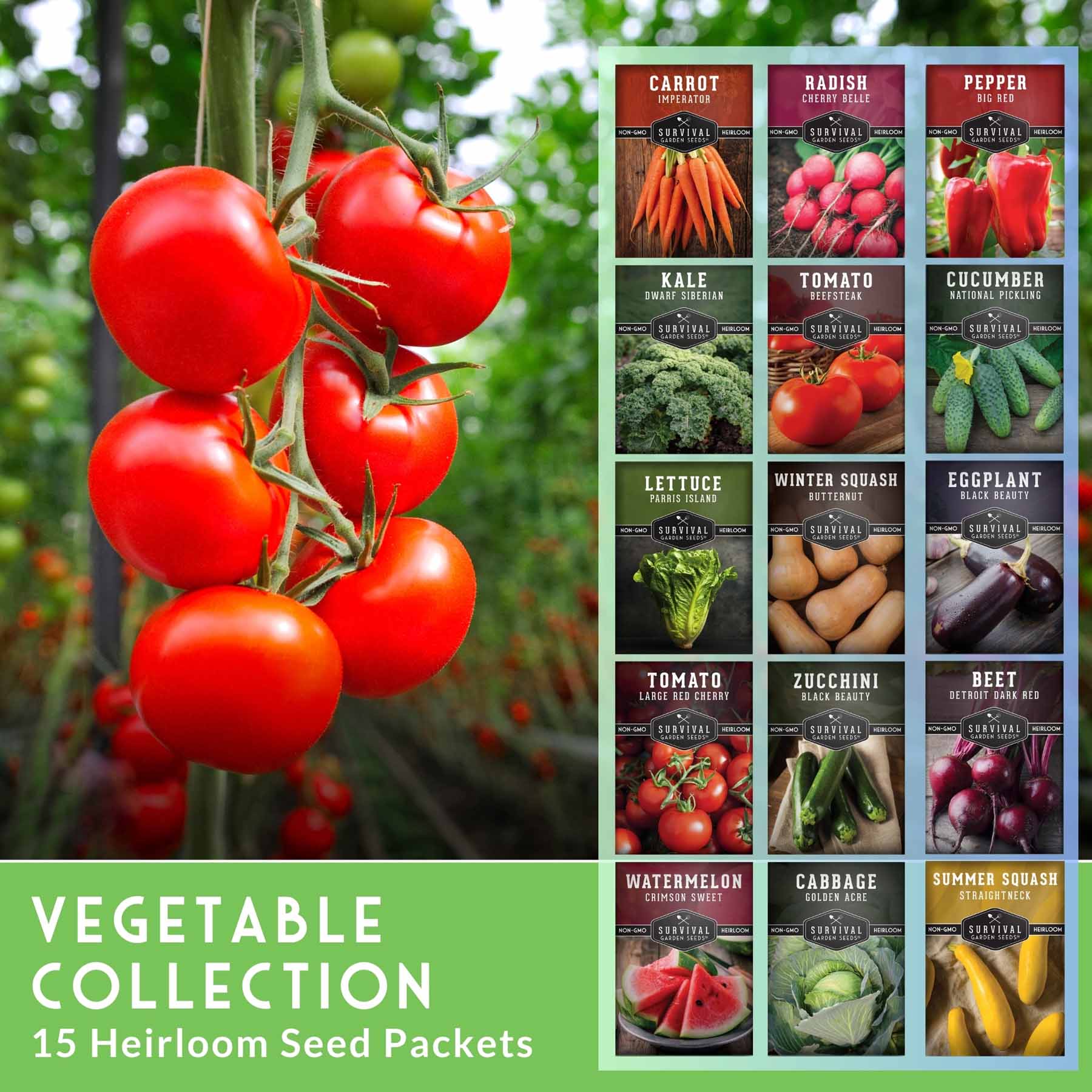 15 Variety Vegetable Garden Seed Collection – Non-GMO Heirloom Survival Seed Vault for Year-Round Growing - Image 2