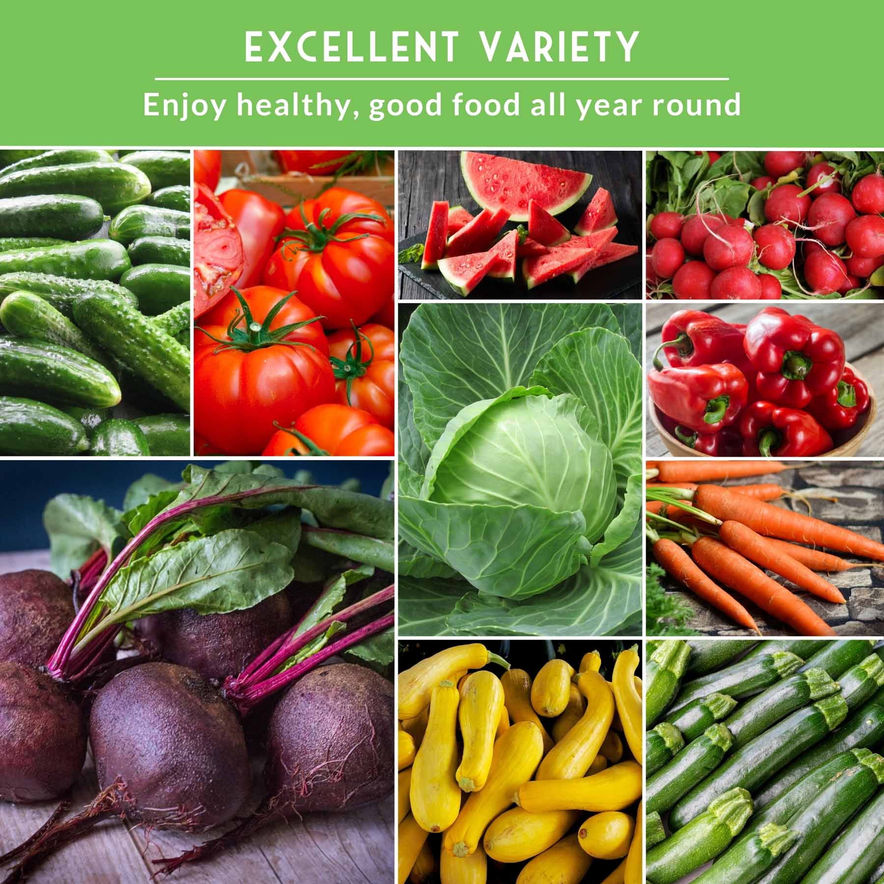 15 Variety Vegetable Garden Seed Collection – Non-GMO Heirloom Survival Seed Vault for Year-Round Growing - Image 5