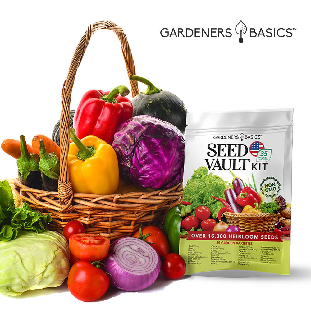 Vegetable Seed Vault Kit – 35 Heirloom Non-GMO Vegetable Seeds for Gardening & Survival Food Storage - Image 3