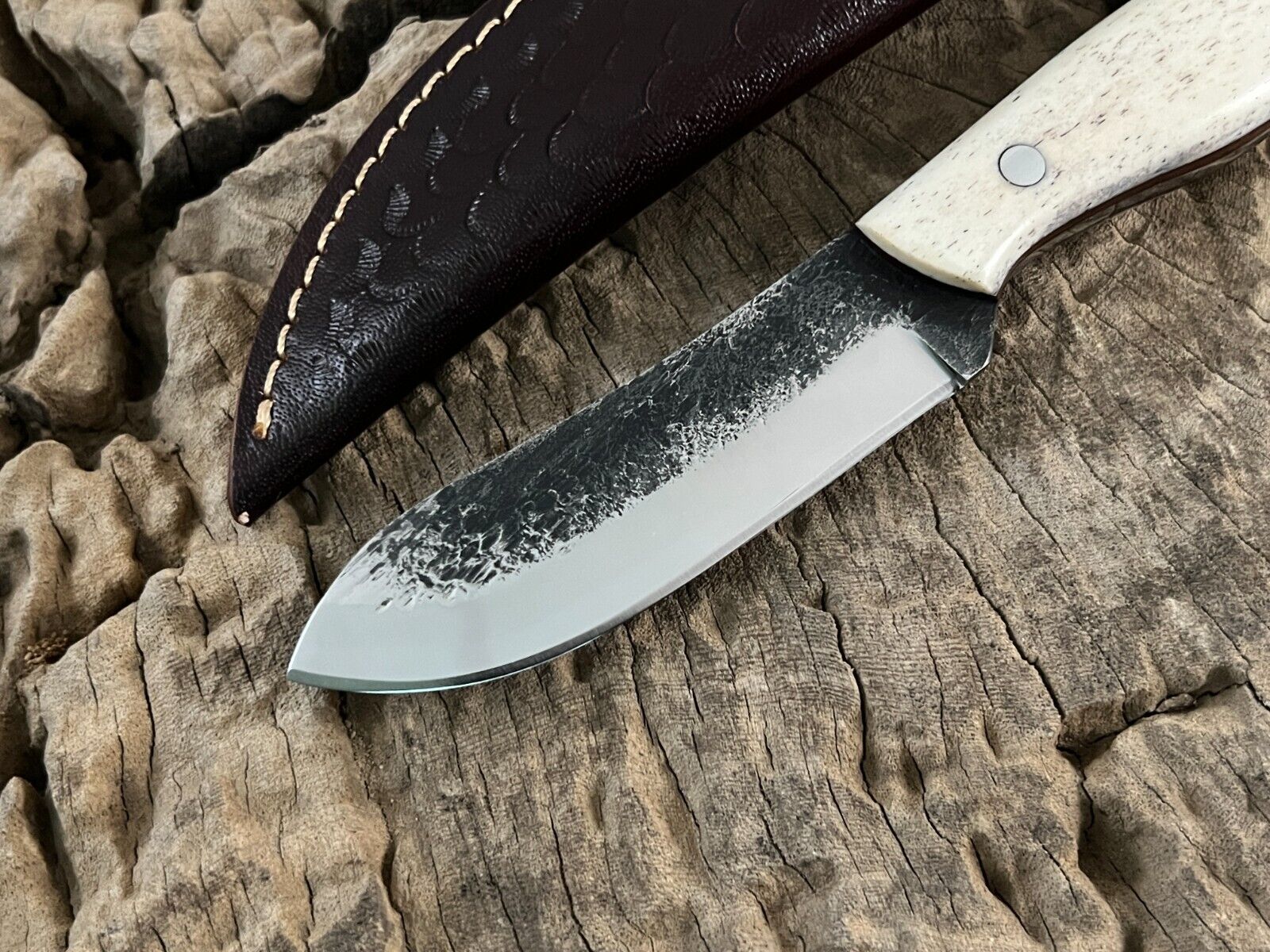 WildEdge High-Carbon Steel Bushcraft Knife – 8-Inch Survival Blade with Bone Handle - Image 2