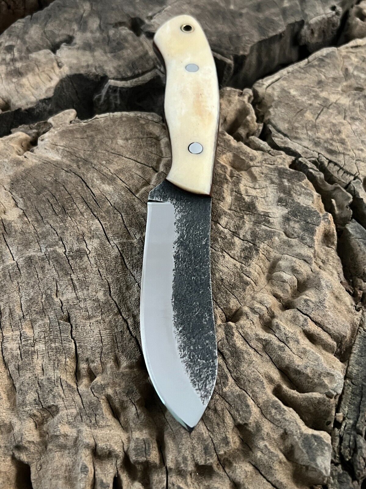 WildEdge High-Carbon Steel Bushcraft Knife – 8-Inch Survival Blade with Bone Handle - Image 3