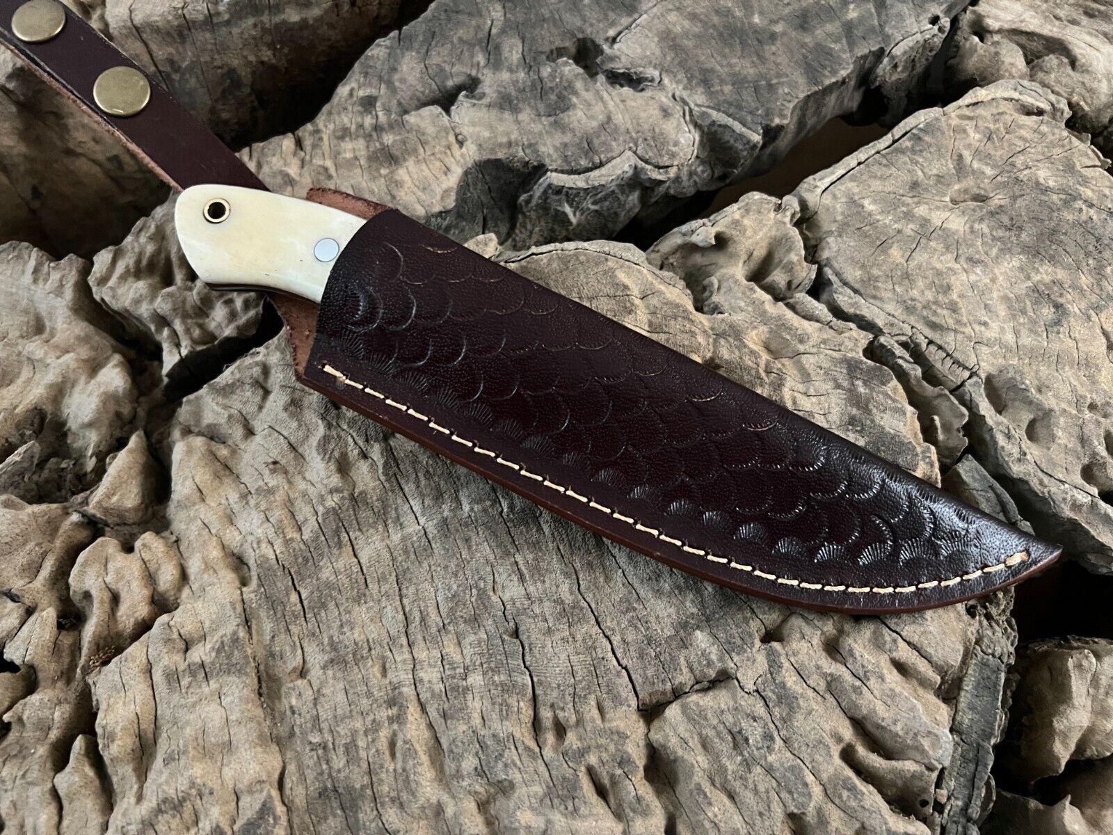 WildEdge High-Carbon Steel Bushcraft Knife – 8-Inch Survival Blade with Bone Handle - Image 4