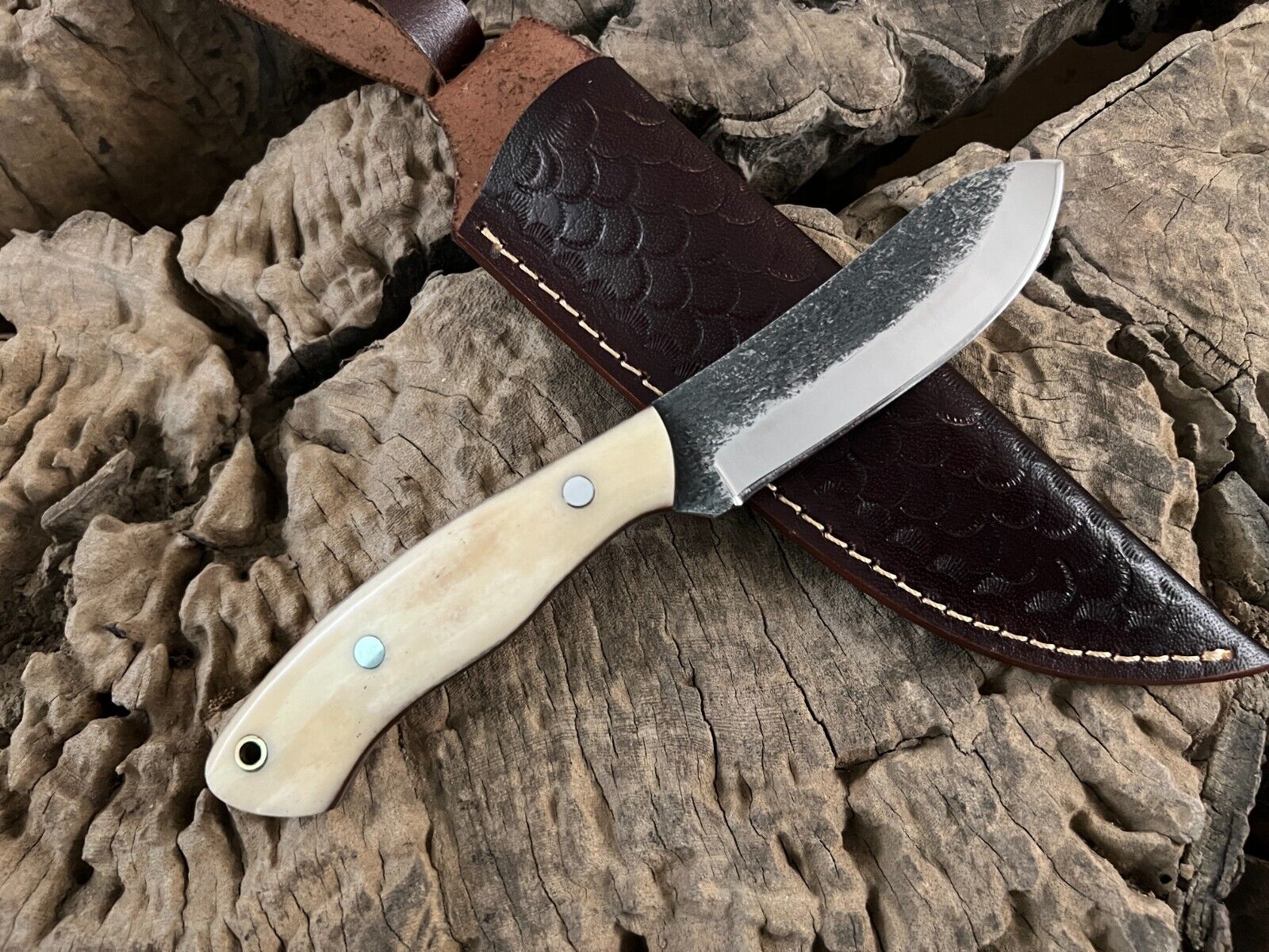 WildEdge High-Carbon Steel Bushcraft Knife – 8-Inch Survival Blade with Bone Handle - Image 5