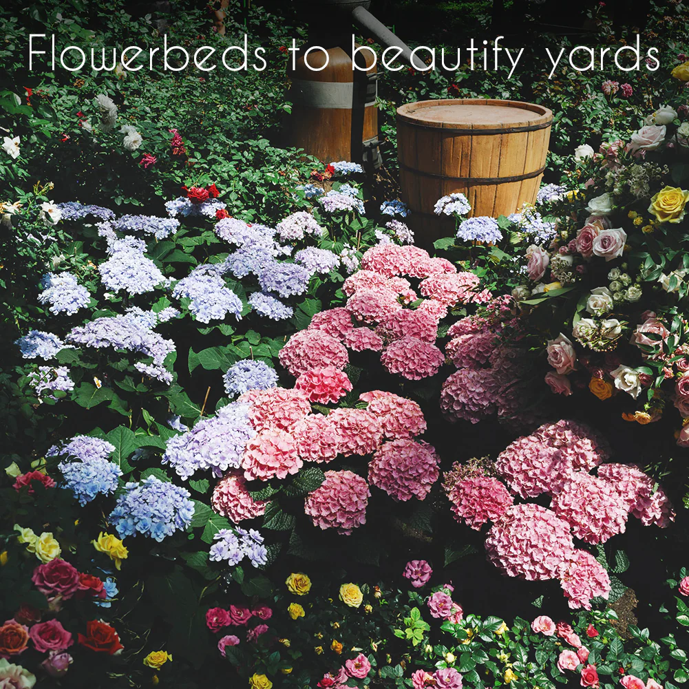 Wildflower, Perennial, & Annual Flower Seed Kit | 35 Variety Pack - Image 6