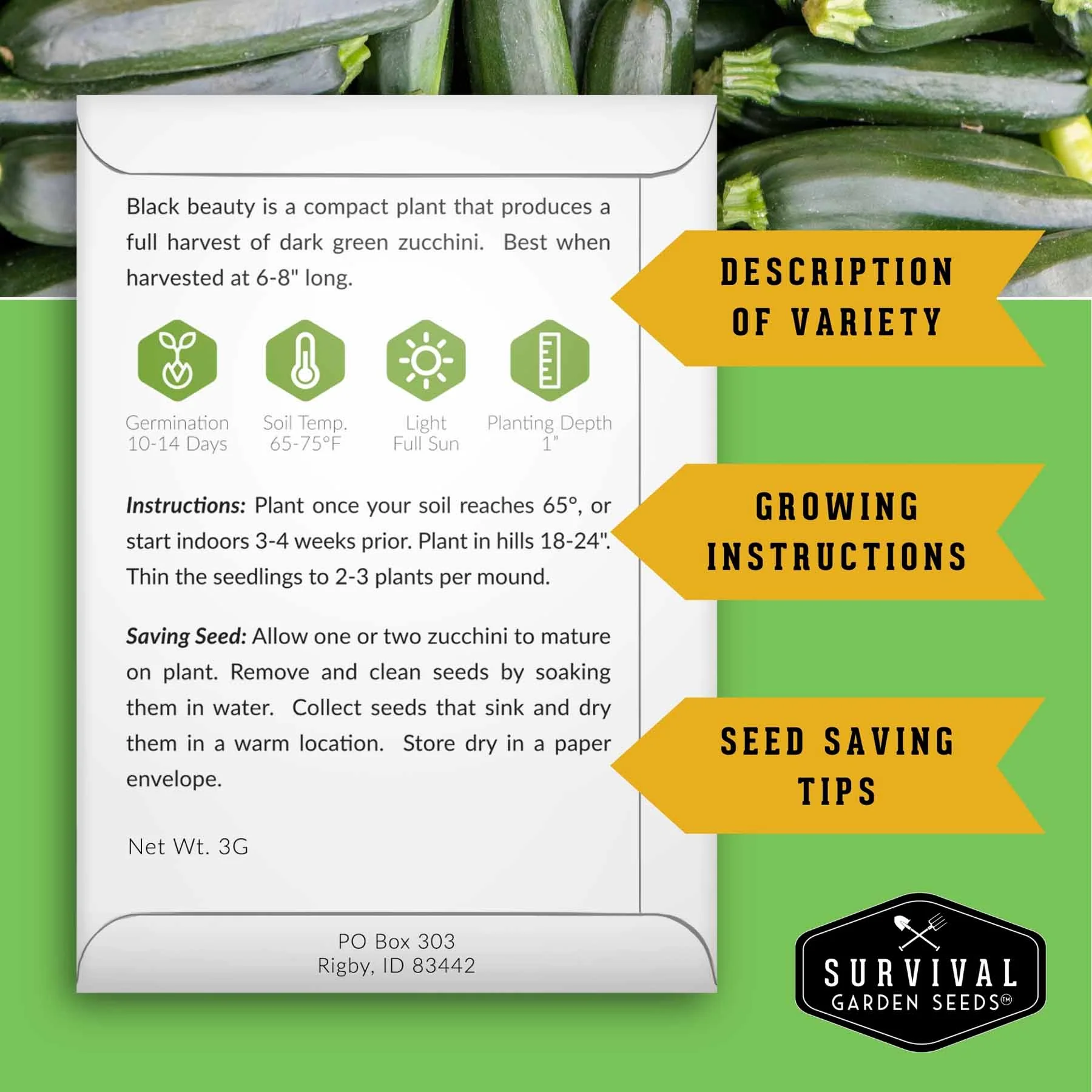 Zucchini & Summer Squash Seed Collection – Black Beauty, Round, Golden, Grey Zucchini & Straight Neck Yellow Squash - Image 3