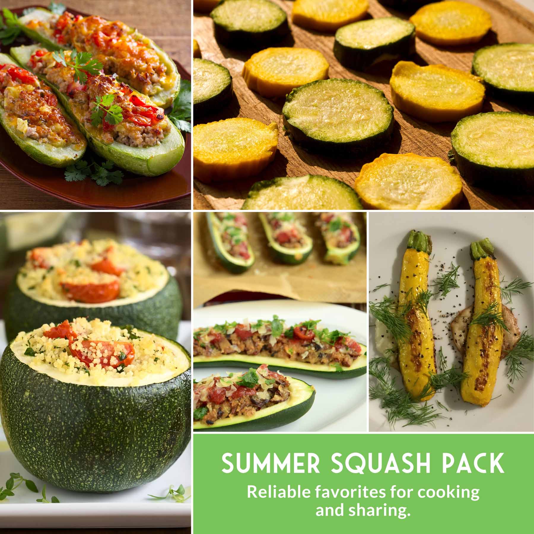 Zucchini & Summer Squash Seed Collection – Black Beauty, Round, Golden, Grey Zucchini & Straight Neck Yellow Squash - Image 6